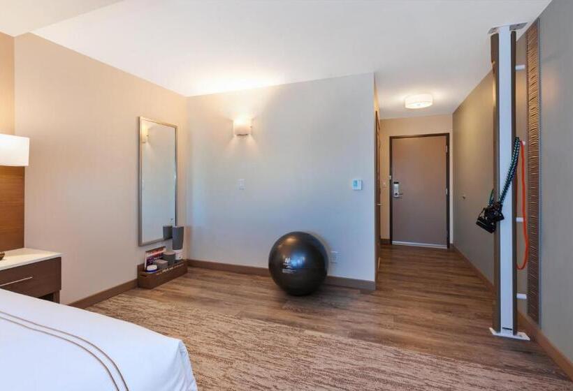 장애인을 위한 킹사이즈 침대 스탠다드 룸, Even Hotel Ann Arbor S   University Area, An Ihg