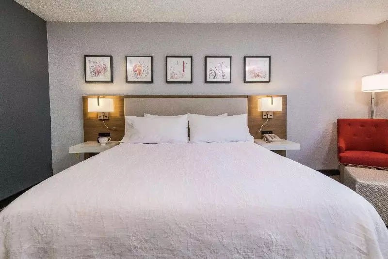 キングサイズベッドのスタンダードルーム, Hilton Garden Inn Atlanta Northpoint