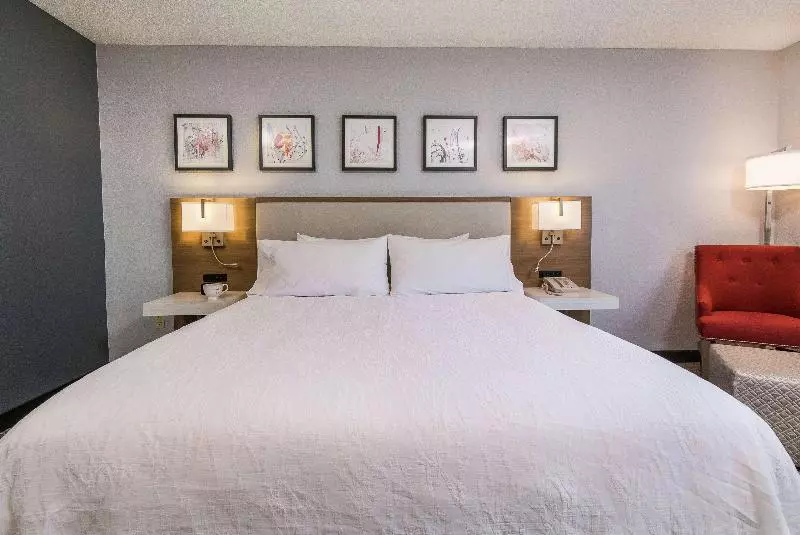 キングサイズベッドのスタンダードルーム, Hilton Garden Inn Atlanta Northpoint
