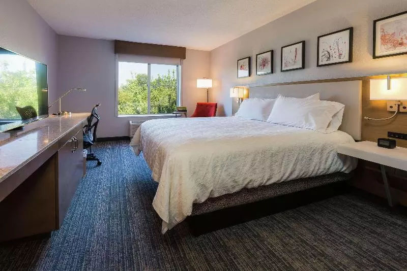 キングサイズベッドのスタンダードルーム, Hilton Garden Inn Atlanta Northpoint