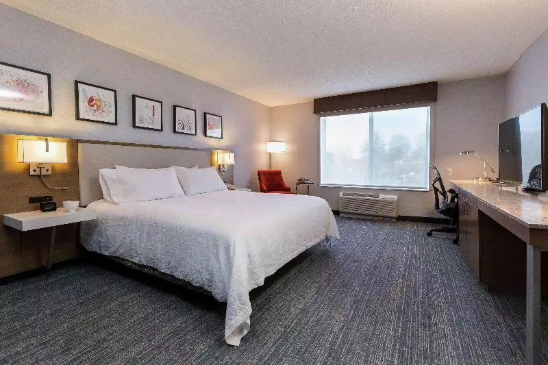 キングサイズベッドのスタンダードルーム, Hilton Garden Inn Atlanta Northpoint