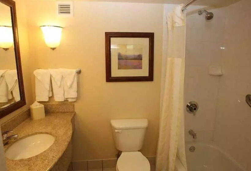 キングサイズベッドのスタンダードルーム, Hilton Garden Inn Des Moines/urbandale