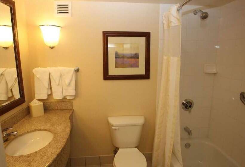 חדר פרמיום, Hilton Garden Inn Des Moines/urbandale