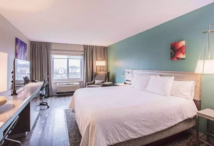 プレミアムルーム, Hilton Garden Inn Des Moines/urbandale