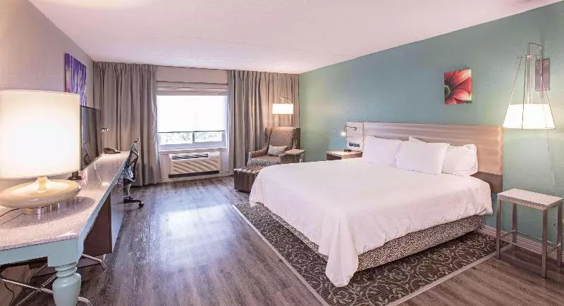 キングサイズベッドのスタンダードルーム, Hilton Garden Inn Des Moines/urbandale