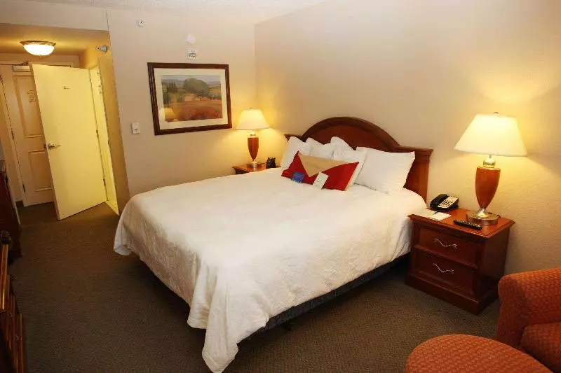 キングサイズベッドのスタンダードルーム, Hilton Garden Inn Des Moines/urbandale