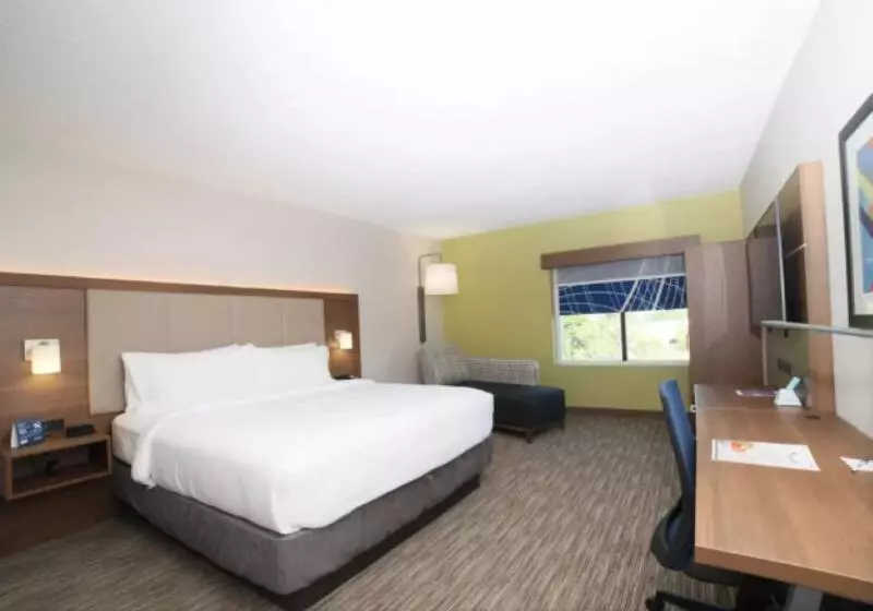 اتاق استاندارد با تخت بزرگ, Hilton Garden Inn Palmdale