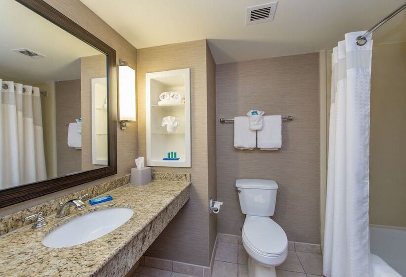 جناح, Holiday Inn Express Hotel & Suites Auburn, An Ihg