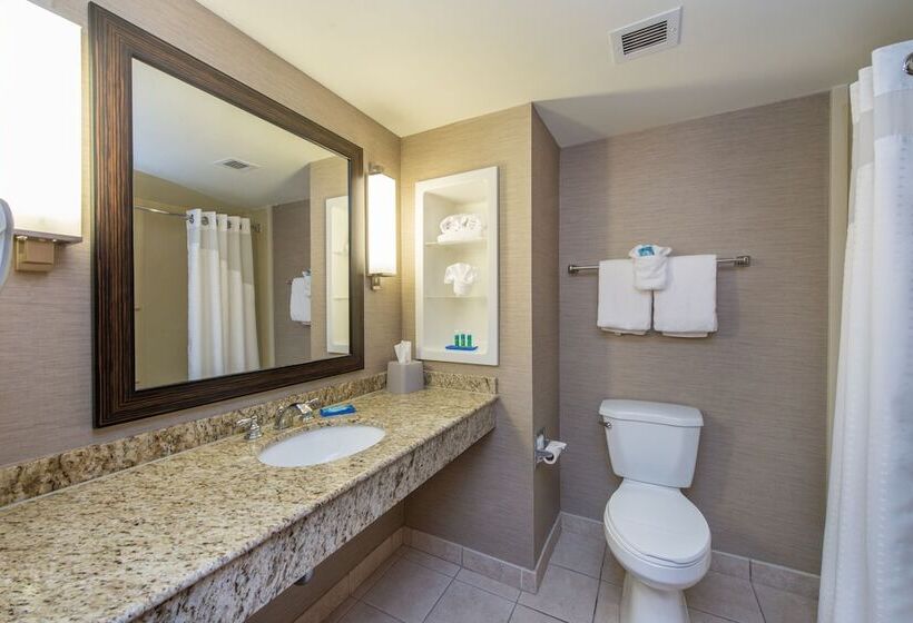 جناح, Holiday Inn Express Hotel & Suites Auburn, An Ihg