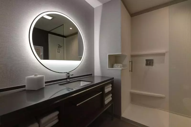 キングサイズベッドのスイートルーム, Holiday Inn Express Hotel & Suites Auburn, An Ihg