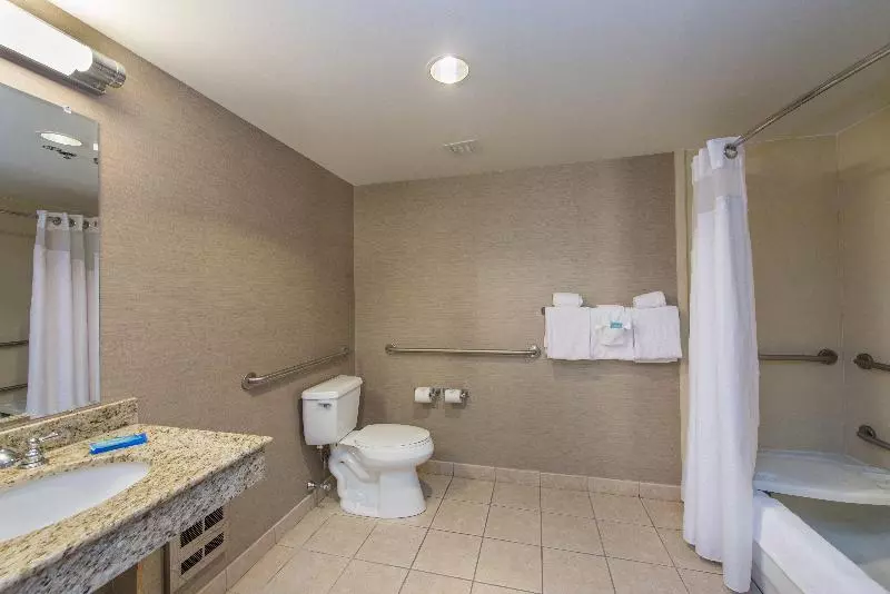 キングサイズベッドのスタンダードルーム, Holiday Inn Express Hotel & Suites Auburn, An Ihg