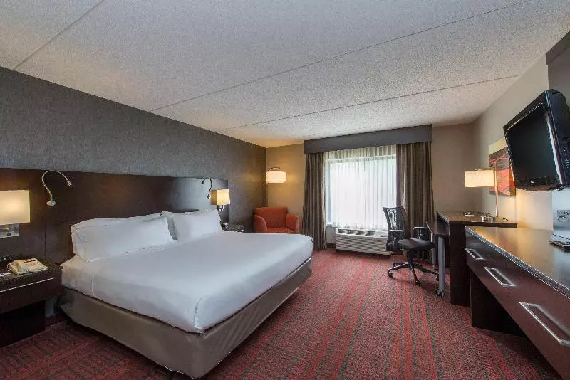 キングサイズベッドのスタンダードルーム, Holiday Inn Express Hotel & Suites Auburn, An Ihg