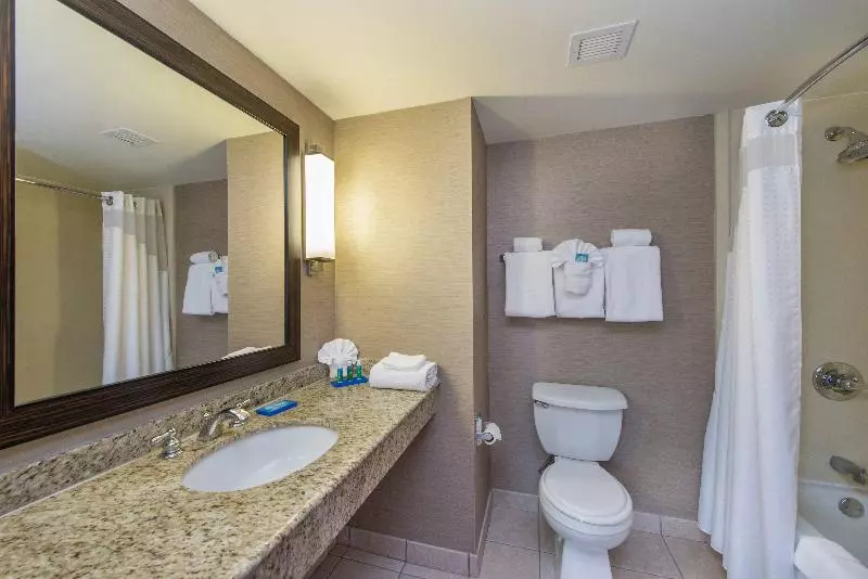キングサイズベッドのスタンダードルーム, Holiday Inn Express Hotel & Suites Auburn, An Ihg