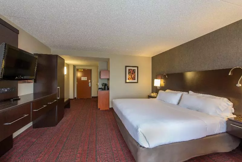 キングサイズベッドのスタンダードルーム, Holiday Inn Express Hotel & Suites Auburn, An Ihg