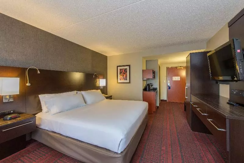 キングサイズベッドのスタンダードルーム, Holiday Inn Express Hotel & Suites Auburn, An Ihg