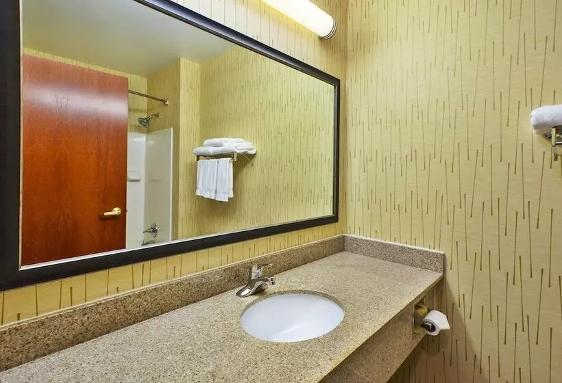 スタンダードルーム, Holiday Inn Express Hotel & Suites   Belleville Area, An Ihg