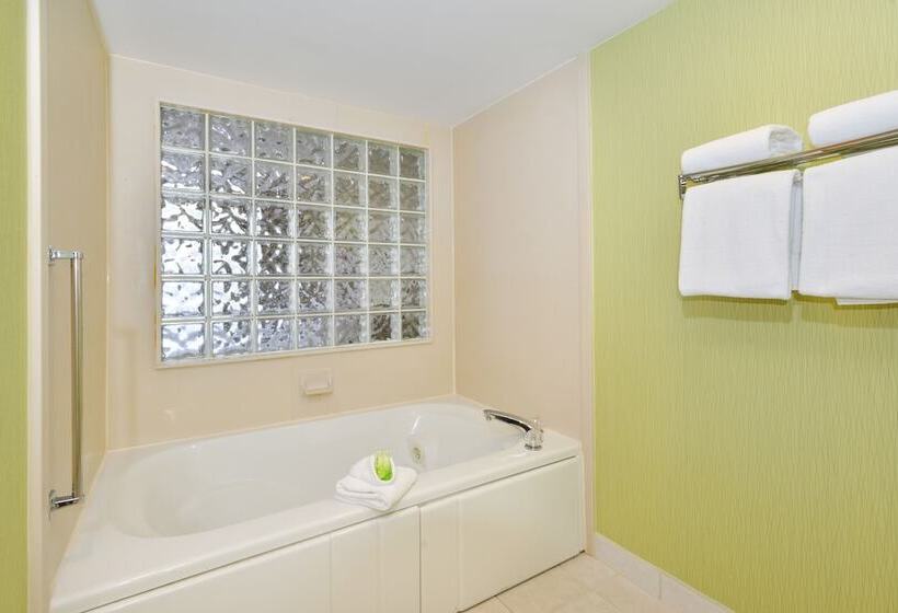 غرفة قياسية سرير مزدوج, Holiday Inn Express Boone, An Ihg