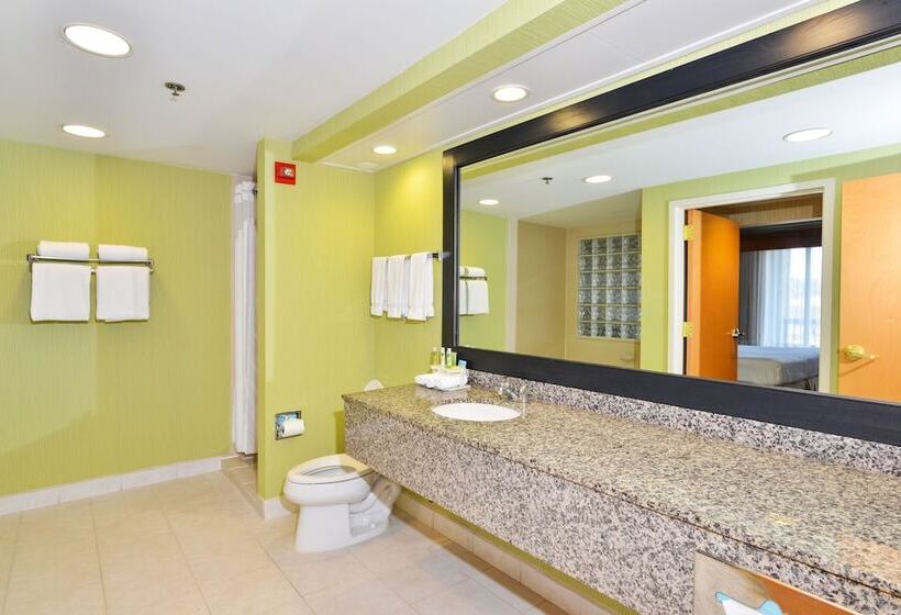 Люкс, Holiday Inn Express Boone, An Ihg
