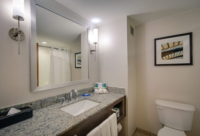 Люкс, Holiday Inn Express & Suites Sylva / Dillsboro, An Ihg