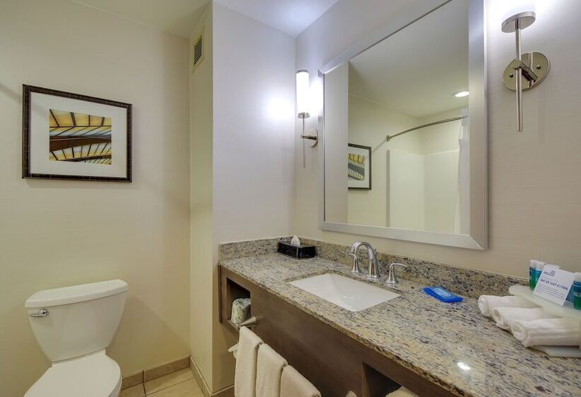 スイート, Holiday Inn Express & Suites Sylva / Dillsboro, An Ihg