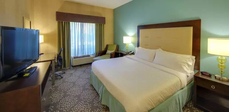 キングサイズベッドのスタンダードルーム, Holiday Inn Express & Suites Sylva / Dillsboro, An Ihg