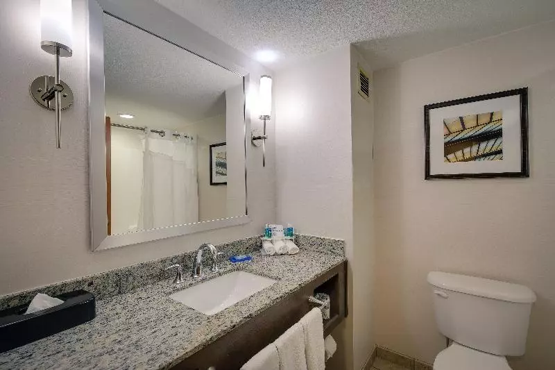 キングサイズベッドのスタンダードルーム, Holiday Inn Express & Suites Sylva / Dillsboro, An Ihg