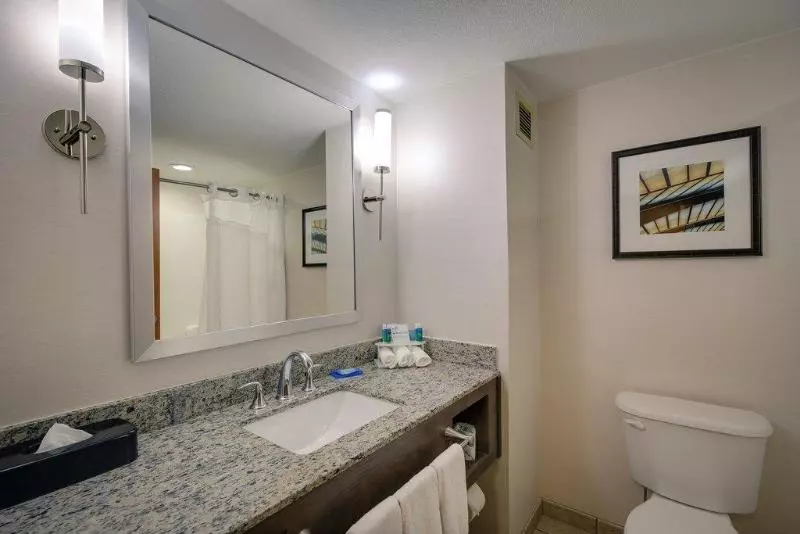 キングサイズベッドのスタンダードルーム, Holiday Inn Express & Suites Sylva / Dillsboro, An Ihg