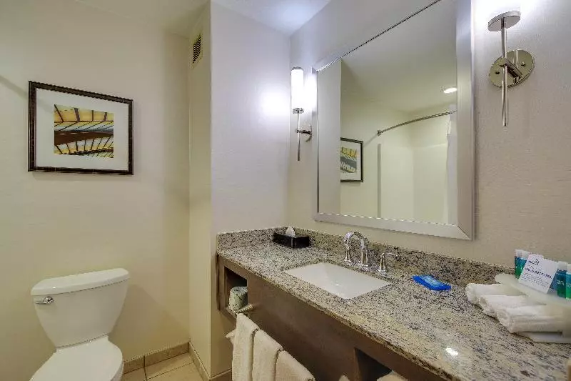 キングサイズベッドのスタンダードルーム, Holiday Inn Express & Suites Sylva / Dillsboro, An Ihg