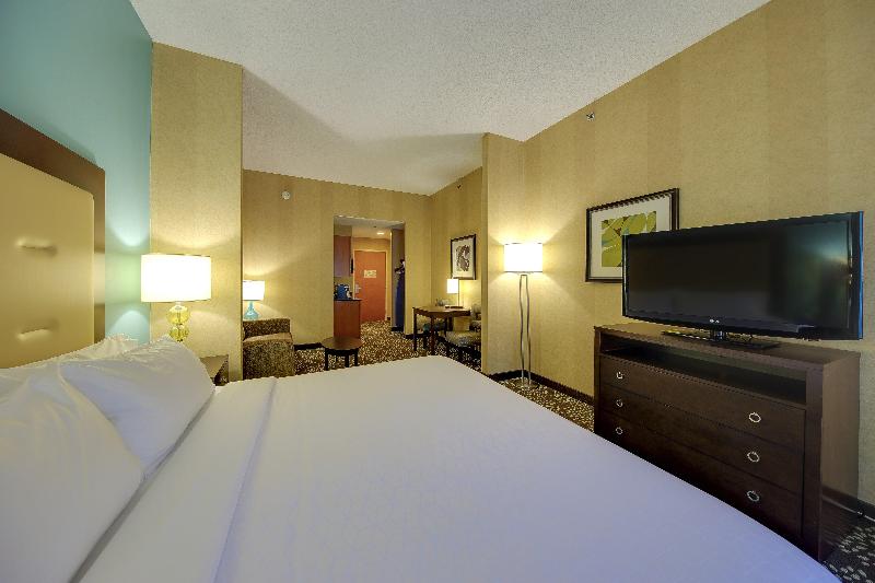 スイート, Holiday Inn Express & Suites Sylva / Dillsboro, An Ihg