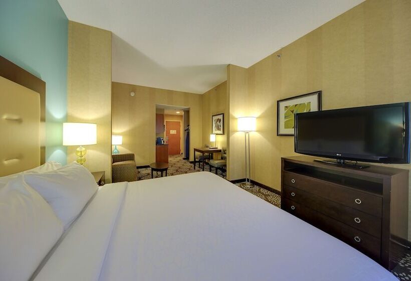 スイート, Holiday Inn Express & Suites Sylva / Dillsboro, An Ihg