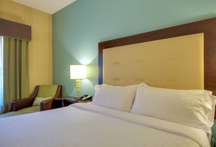 スタンダードルーム, Holiday Inn Express & Suites Sylva / Dillsboro, An Ihg