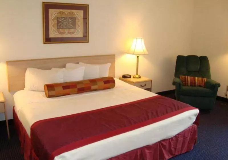 اتاق استاندارد با تخت بزرگ, Pigeon Forge