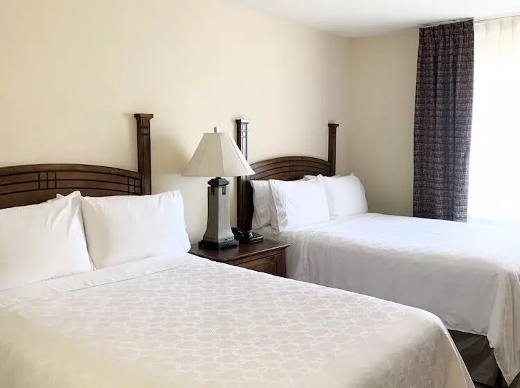 ２ベッドスイートルーム, Staybridge Suites   Albuquerque Airport, An Ihg