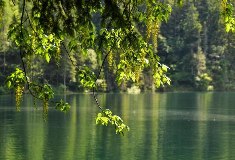 غرفة قياسية رباعية, Antica Residenza De Poda