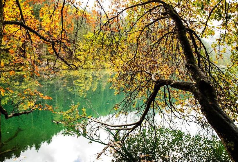 شقة غرفتين, Antica Residenza De Poda