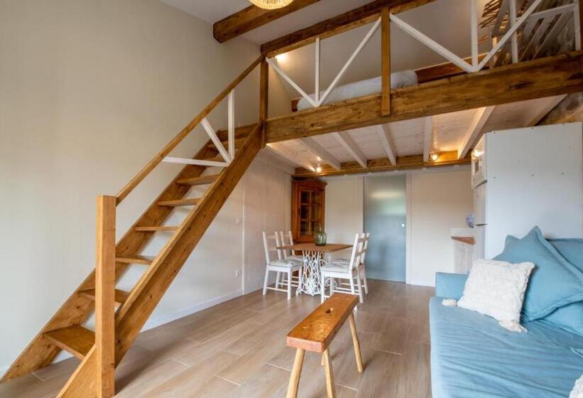 סטודיו משפחתי, Ecogranja Sierra Hermosa