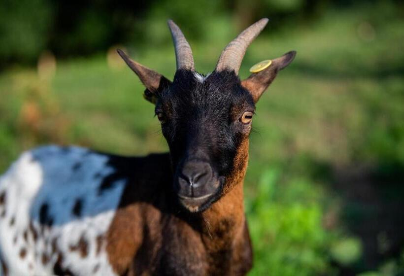 חדר סטנדרט לשלושה, Ecogranja Sierra Hermosa