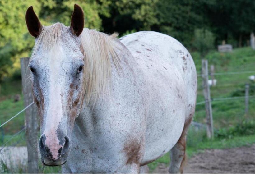 חדר סטנדרט לשלושה, Ecogranja Sierra Hermosa