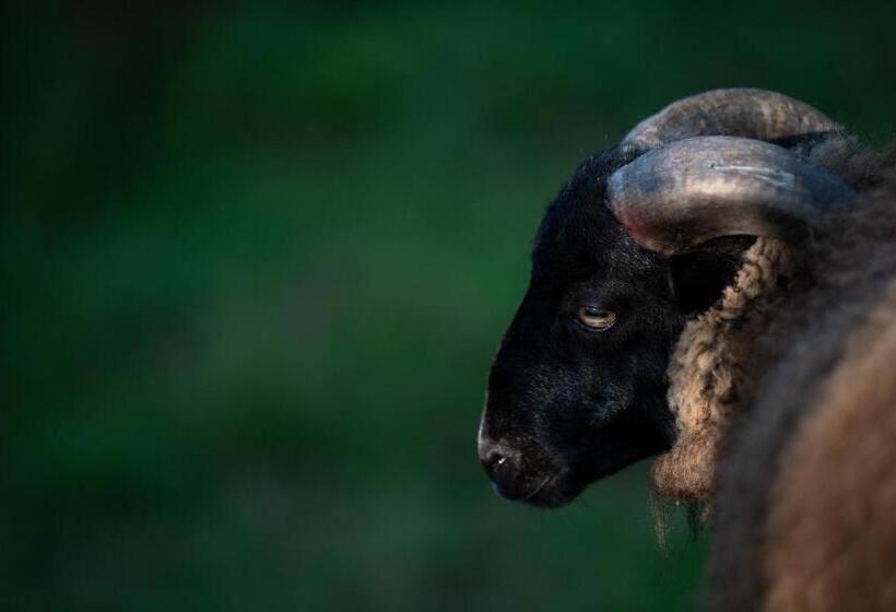 חדר סטנדרט לשלושה, Ecogranja Sierra Hermosa