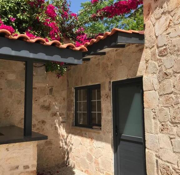 اتاق استاندارد, Solo Boutique