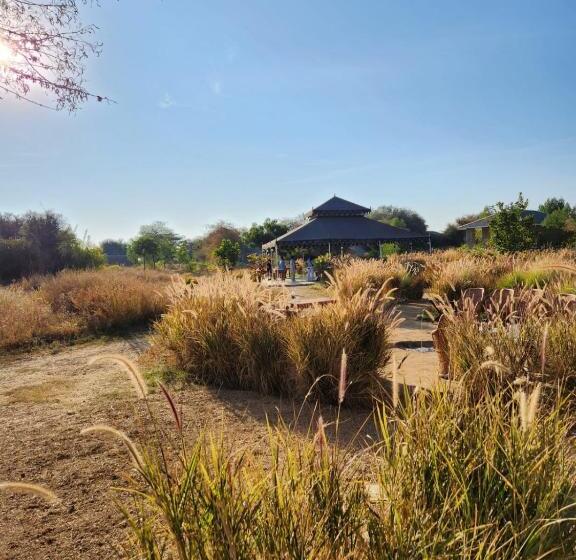 Fyrbädds Standardrum, Jawai Leopard Safari Lodge