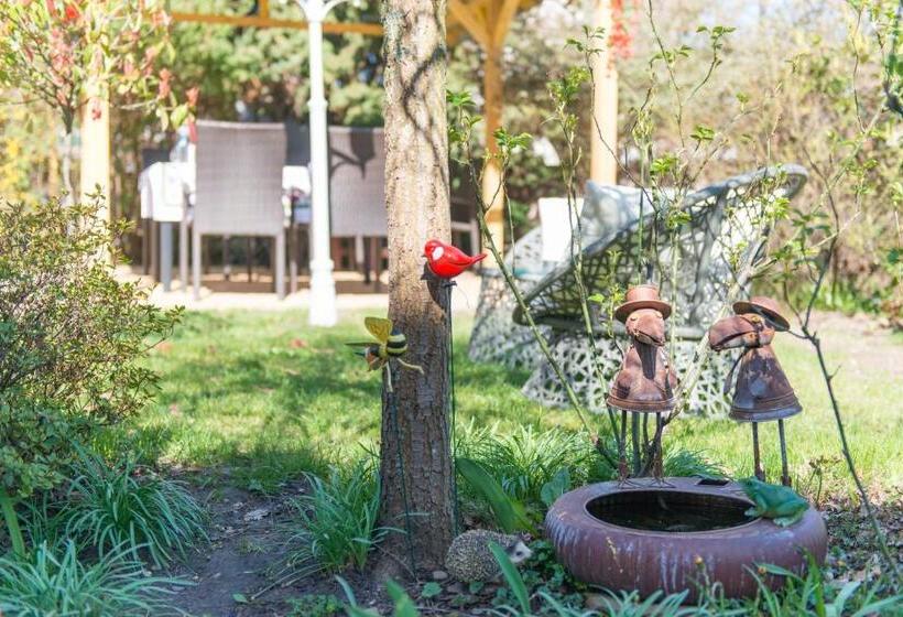 غرفة قياسية, Maison D'hôtes Aux Deux Cigognes