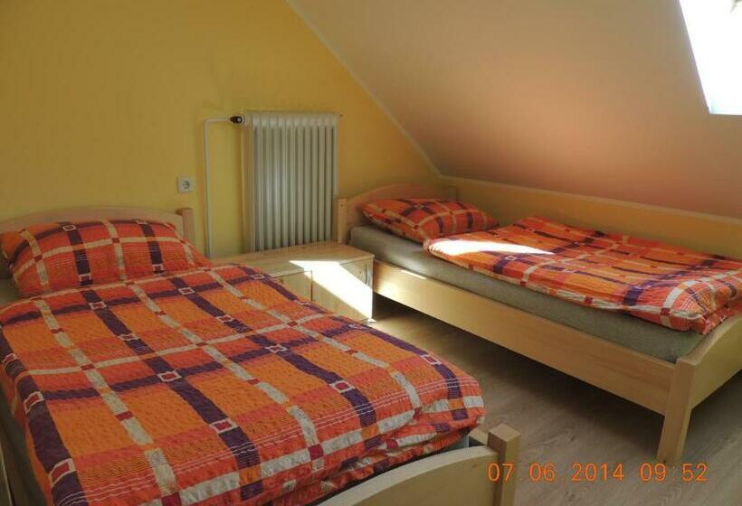 اتاق استاندارد با سرویس بهداشتی مشترک, Guest House Pr Ambružarju & Apartments