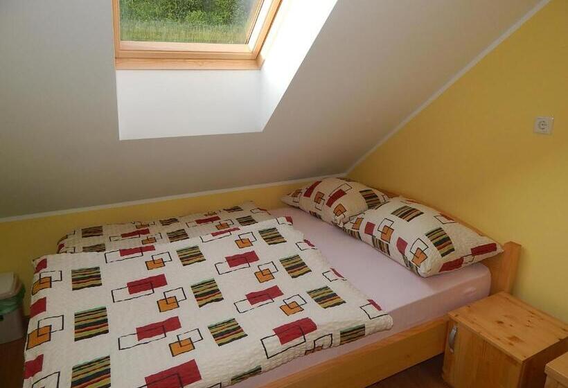 اتاق پایه با سرویس بهداشتی مشترک, Guest House Pr Ambružarju & Apartments