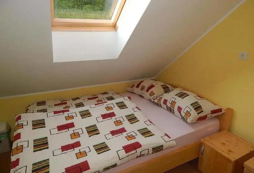 اتاق پایه با سرویس بهداشتی مشترک, Guest House Pr Ambružarju & Apartments