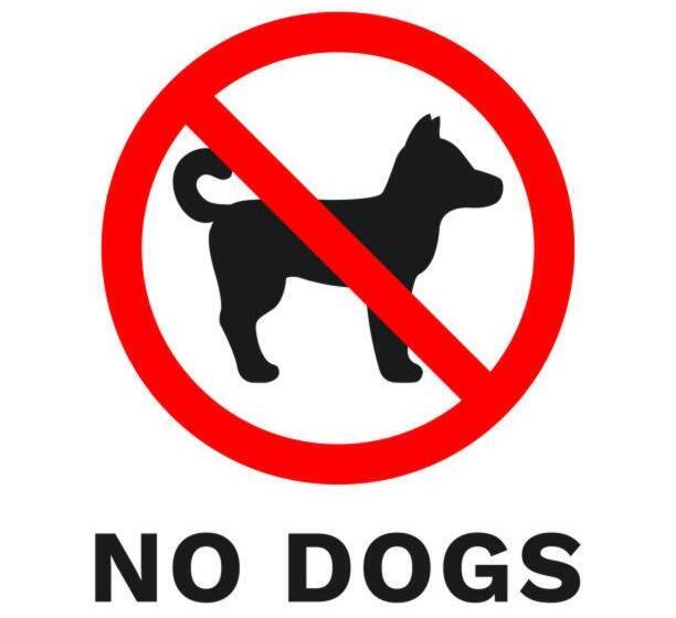 ファミリールーム, Lodge Atelier