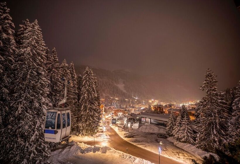 ジュニアスイート, Bertelli