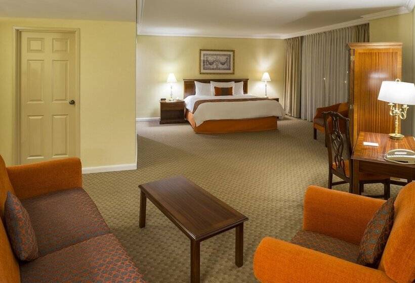 سوئیت با تخت بزرگ, Camino Real Puebla Angelopolis