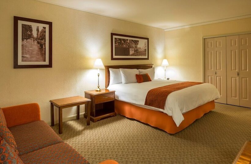 اتاق لوکس با تخت بزرگ, Camino Real Puebla Angelopolis