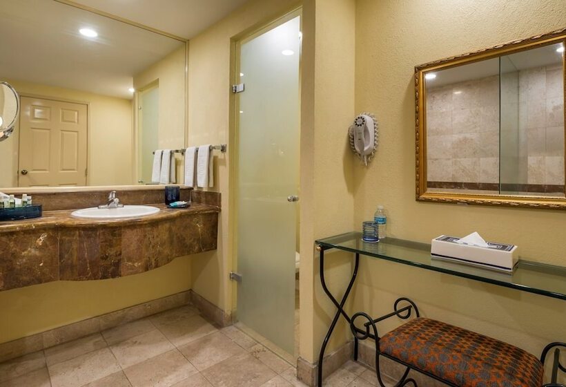 اتاق لوکس با تخت بزرگ, Camino Real Puebla Angelopolis